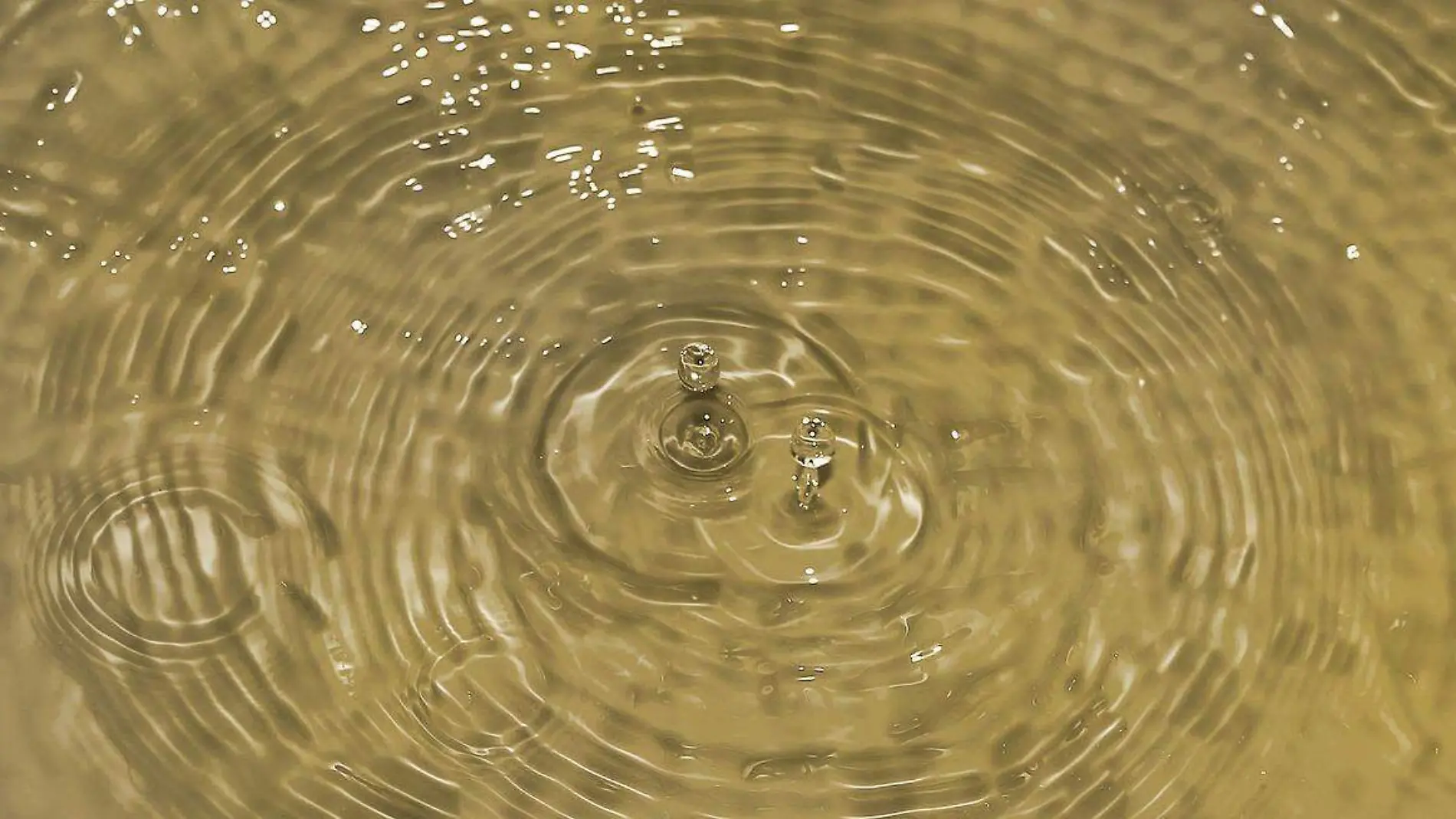 Proponen Semáforo del Cuidado del Agua 